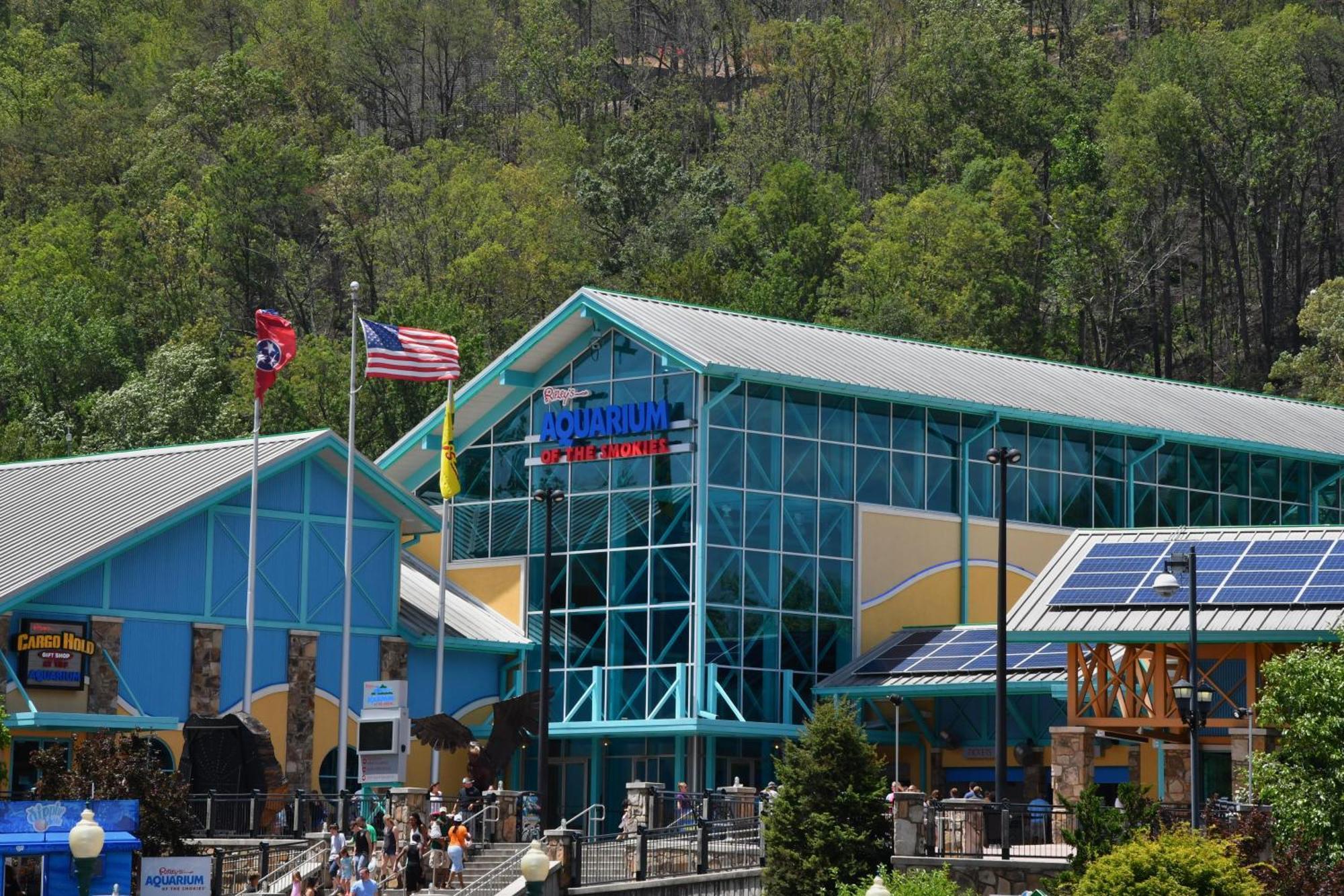 Zen Garden #1523 Gatlinburg Exterior foto
